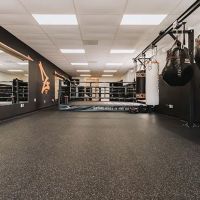Z's Boxing Gym ico