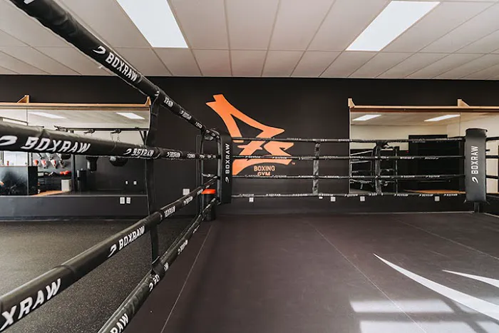 Z's Boxing Gym Picture 7