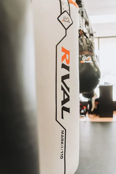 Z's Boxing Gym Picture 4