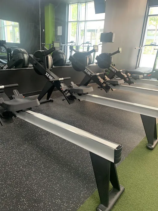 E60 Fitness Picture 1