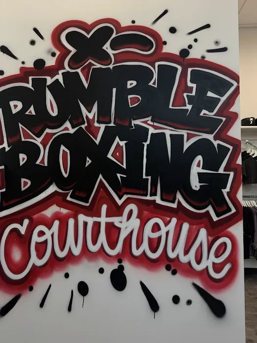 Rumble Boxing Picture 1