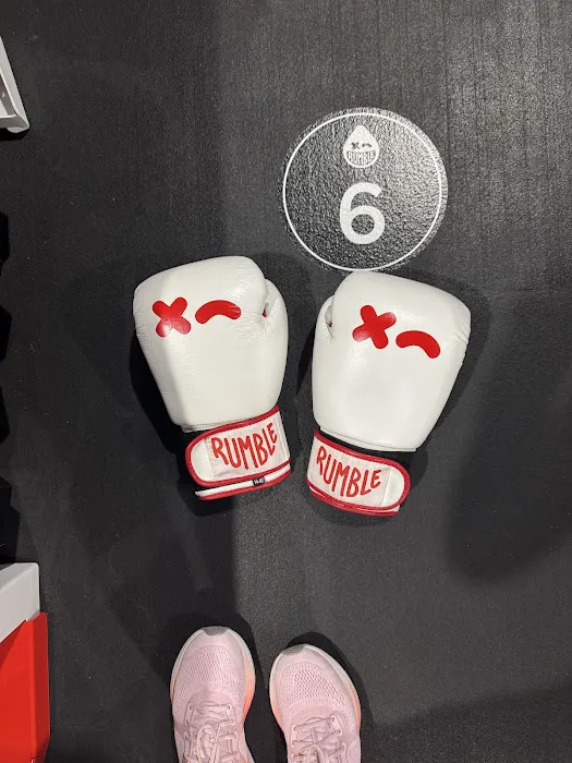 Rumble Boxing Picture 2