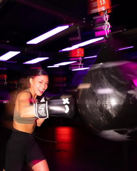 Rumble Boxing Picture 4