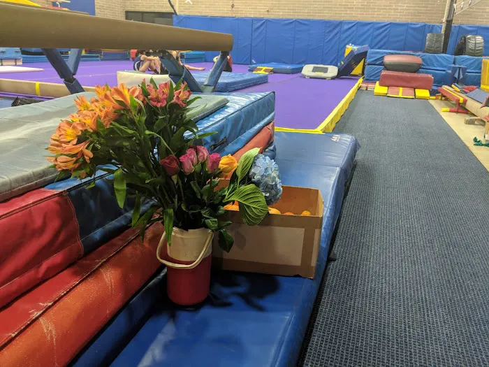 YMCA Arlington Woodmont Gymnastics Center Picture 2