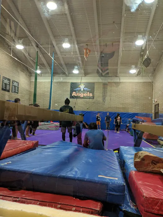 YMCA Arlington Woodmont Gymnastics Center Picture 3