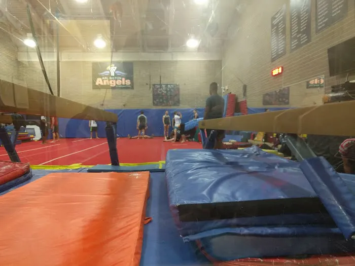 YMCA Arlington Woodmont Gymnastics Center Picture 5