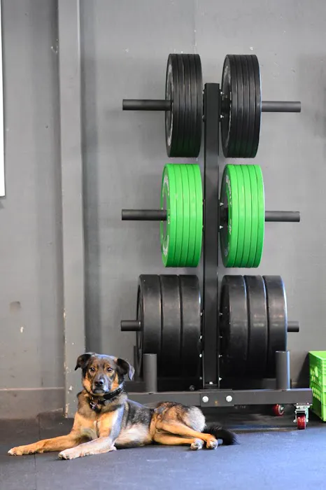 Patriot Crossfit Picture 1