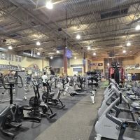 Onelife Fitness - Fairfax ico