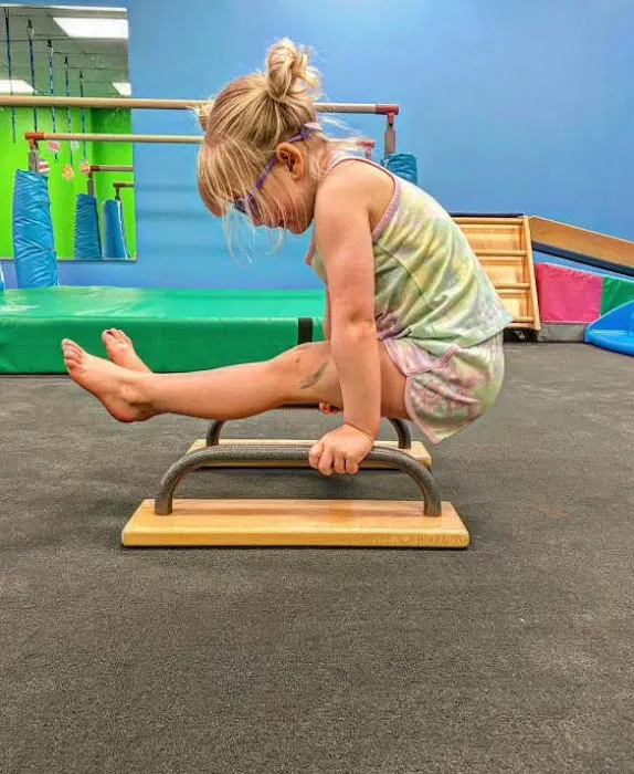 My Gym Children's Fitness Center Picture 2