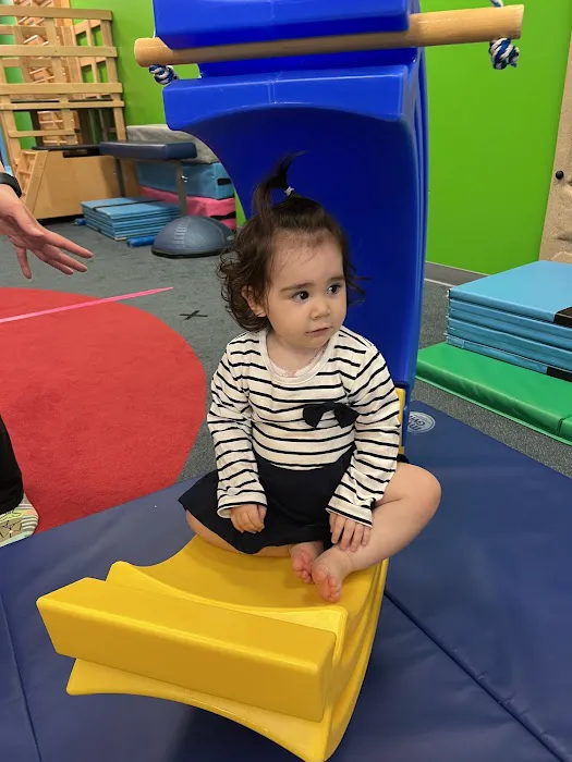 My Gym Children's Fitness Center Picture 6