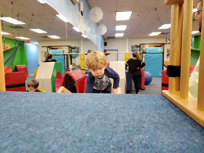 My Gym Children's Fitness Center Picture 10