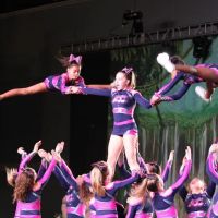 ADC All Starz - All Star Cheerleading ico