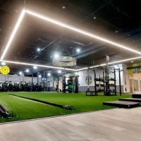 Gold's Gym ico