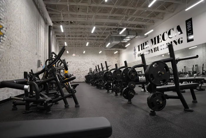 Gold's Gym Picture 5