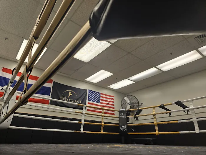 THE LITTLEGIANT MUAY THAI Picture 7