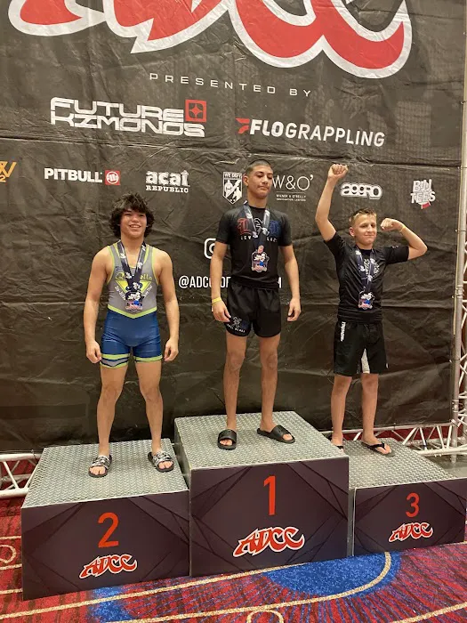 Quintella MMA Picture 9