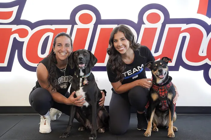 F45 Training Clarendon Picture 3