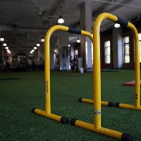 Gold's Gym ico