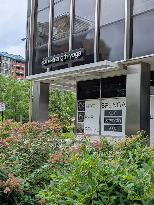 SPENGA Arlington Ballston Picture 6