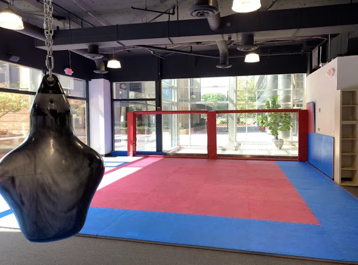 Urban Boxing Arlington Picture 2