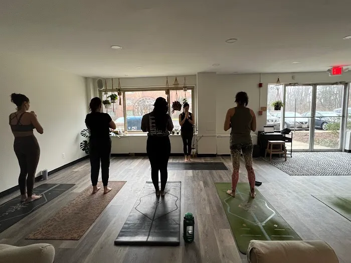 Yoga Commons Picture 7
