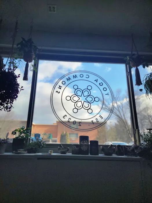 Yoga Commons Picture 4