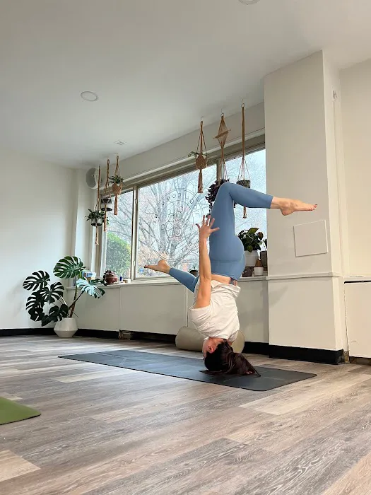 Yoga Commons Picture 10