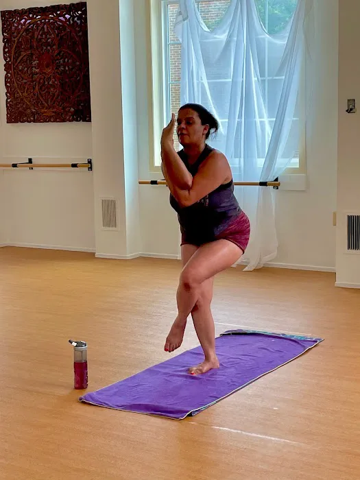 Siri Om Yoga Studio and Wellness Picture 3