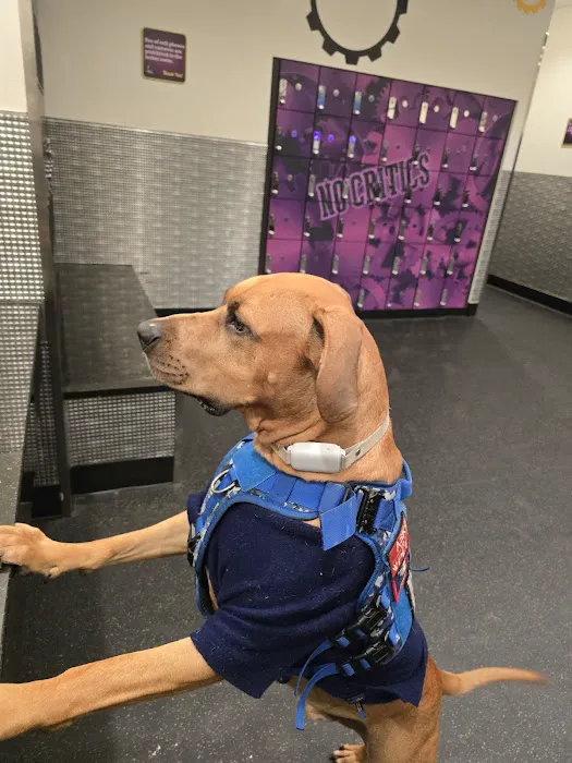Planet Fitness Picture 7