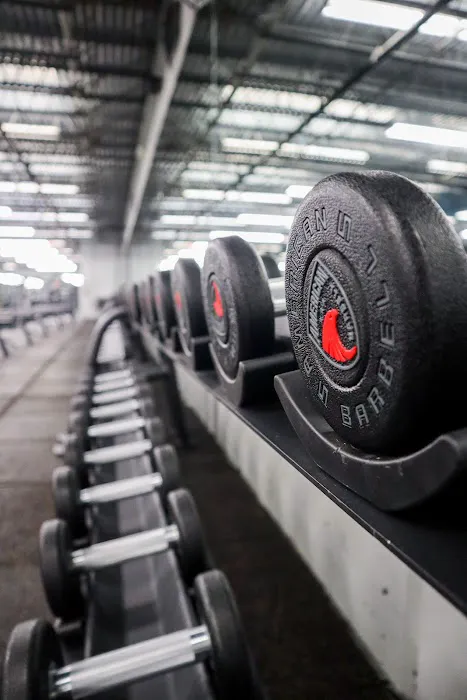 Gold's Gym Picture 8