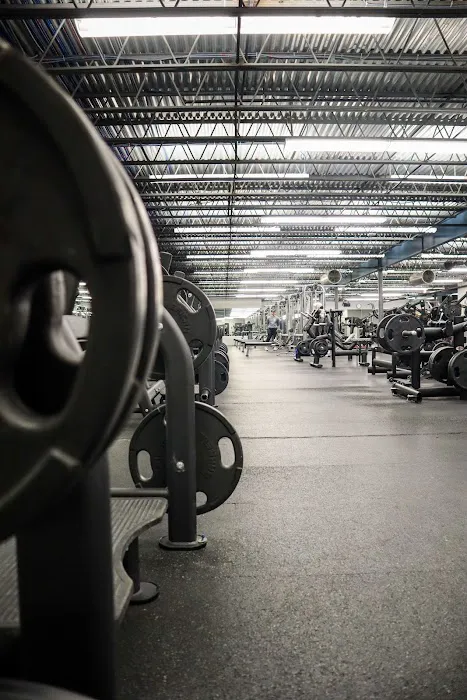 Gold's Gym Picture 10