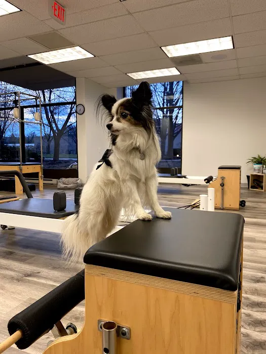 Praxi Pilates Picture 4