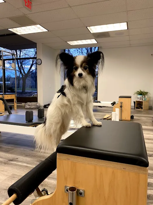 Praxi Pilates Picture 9