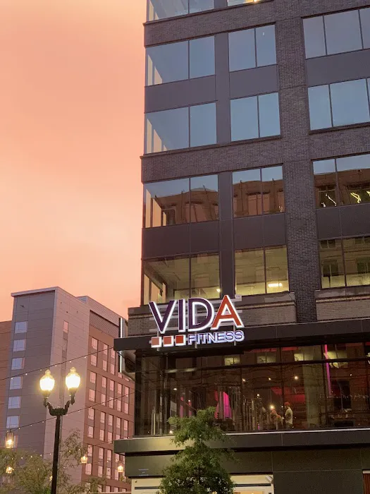 VIDA - Ballston Picture 8