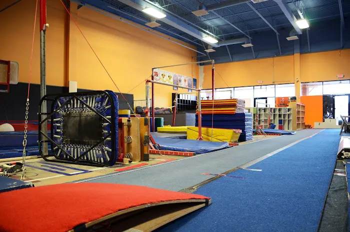 Gymnastics World Picture 1