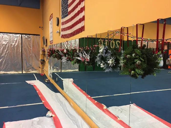 Gymnastics World Picture 6