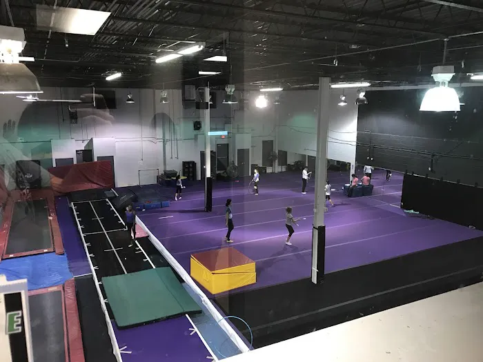 Mosaic Gymnastics Picture 4