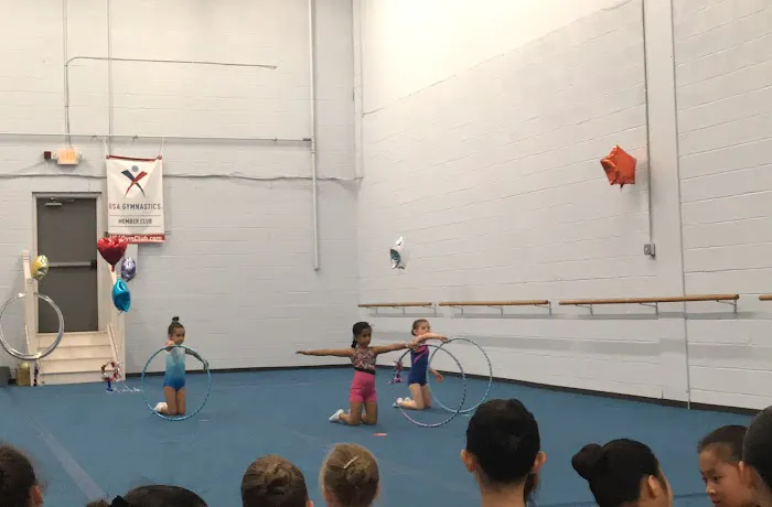 Mosaic Gymnastics Picture 10