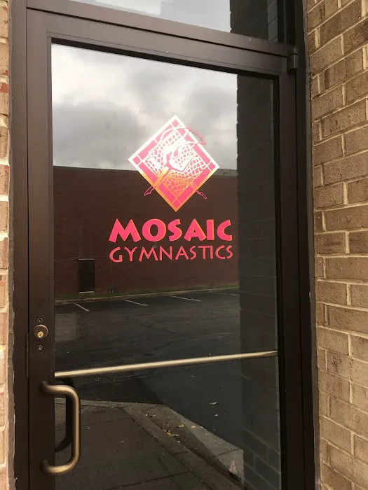 Mosaic Gymnastics Picture 1