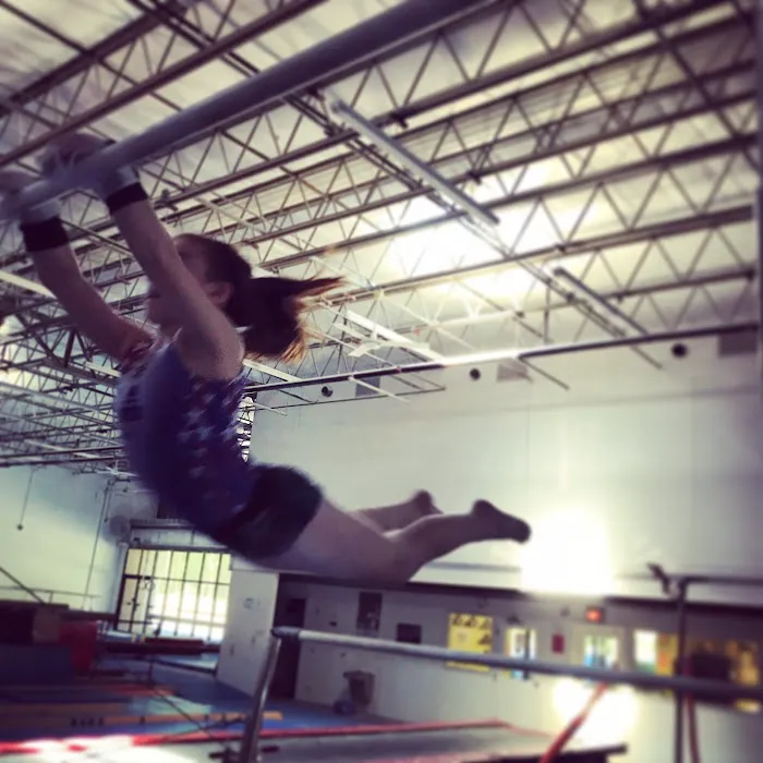 Cardinal Gymnastics Picture 1