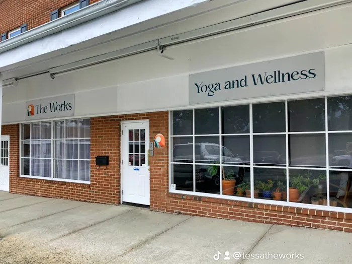 The Works - Yoga and Wellness Studio Picture 3