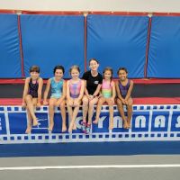 Showtime Gymnastics Academy ico