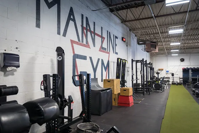 Main Line Gym Picture 4