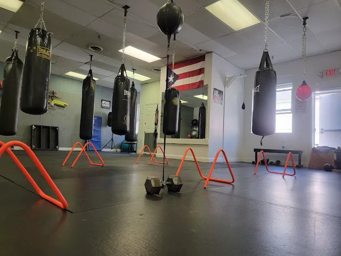 Sanchez Boxing Academy Picture 5