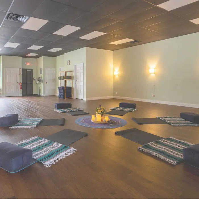 Zia Yoga & Wellness Picture 6
