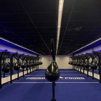 Pound for Pound ico