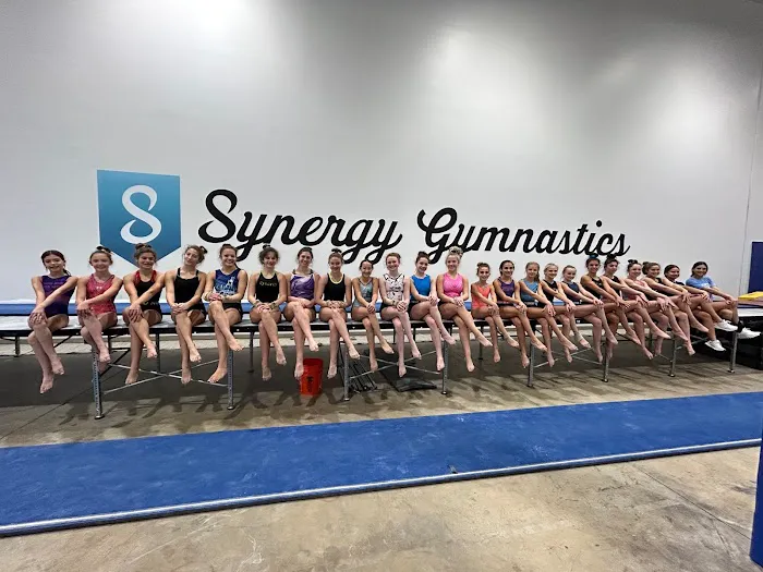 Synergy Gymnastics PA Picture 3
