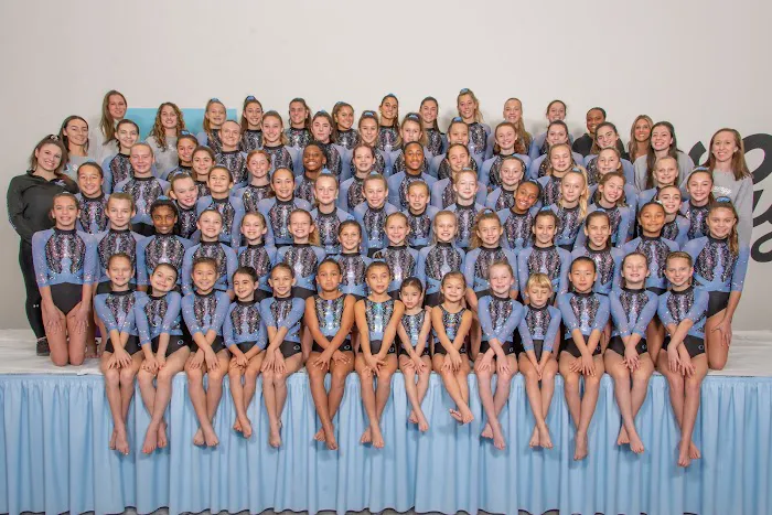 Synergy Gymnastics PA Picture 4