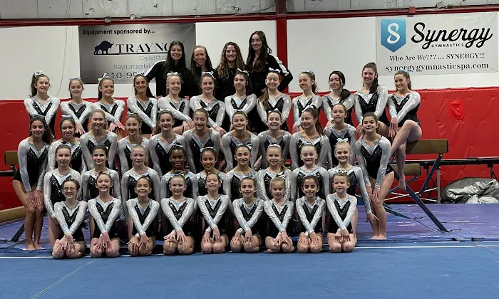Synergy Gymnastics PA Picture 10
