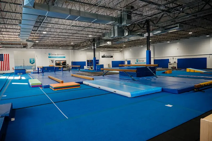 Synergy Gymnastics PA Picture 8